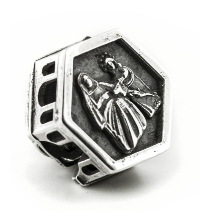 Charm Santa Ana plata