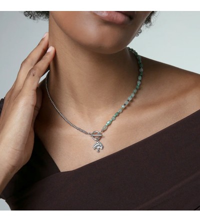 Collar Viceroy