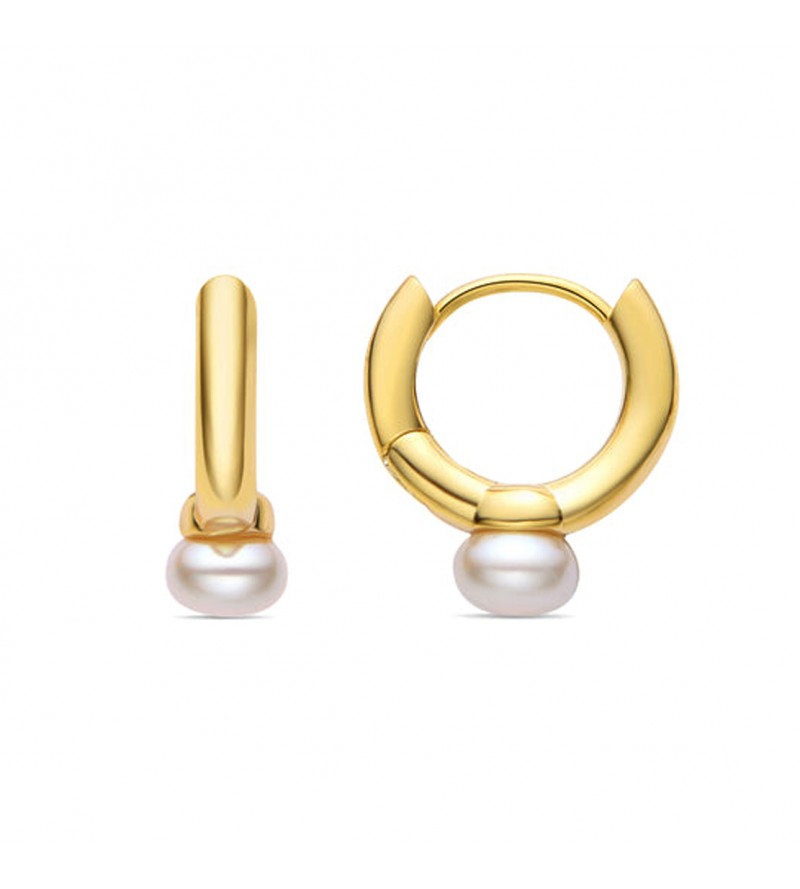 Pendientes Luxenter