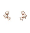 PENDIENTES ESTRELLA ROSA